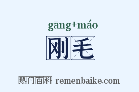 刚毛是什么意思的图片
